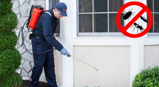 Orhangazi Hamam Böceği İlaçlama böcek ilaçlama ve haşere kontrolü — ilaclama-tr.com